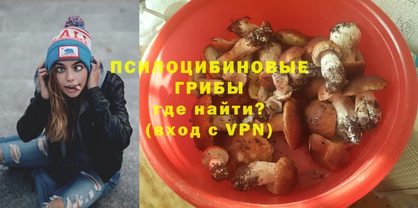 а пвп мука Ельня