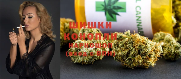 ПСИЛОЦИБИНОВЫЕ ГРИБЫ Елабуга