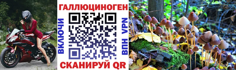 Галлюциногенные грибы мухоморы  Астрахань 